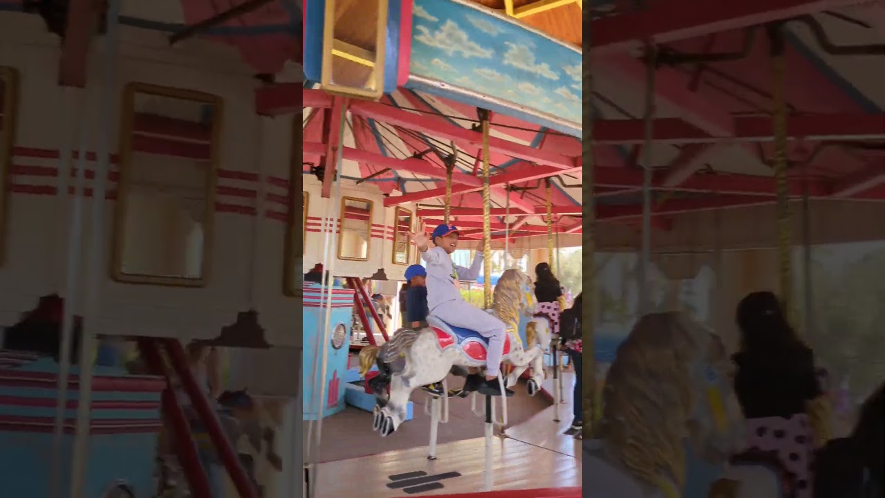 Carousel fun #carouselride #carousels #amusementpark #amusement #fun #ride #happy #happysongs #play