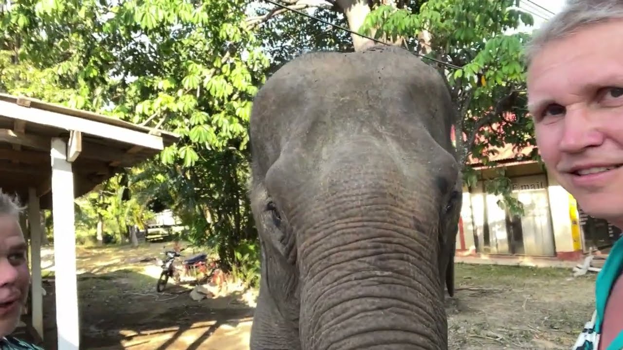 Mu Ko Lanta National Park List 15 Ko&scaron;ile na cest&aacute;ch Ko Lanta, Expedice Thajsko 2022