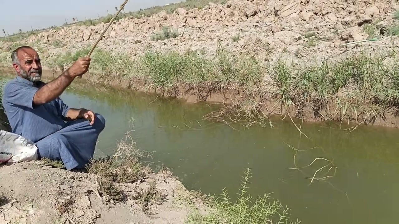 صيد السمك البلطي ذو الاشواك @في الشص