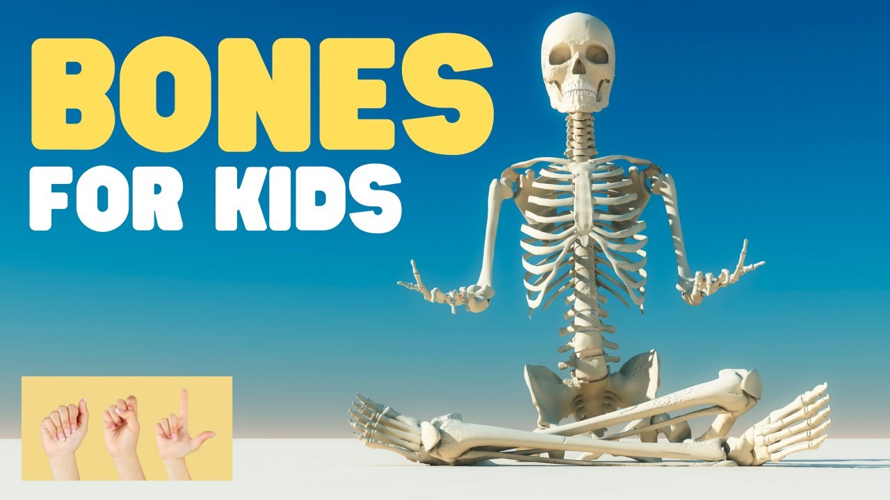 ASL Bones for Kids