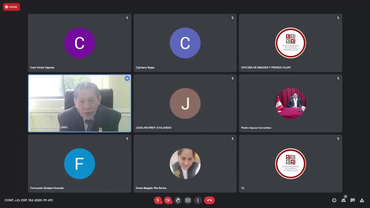 audiencia virtual