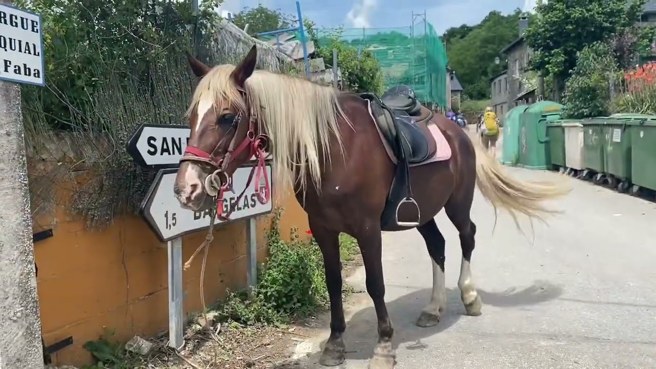 Camino Francés - Day 37 - From Trabadelo to O‘Cebreiro (Jakobsweg 2023)