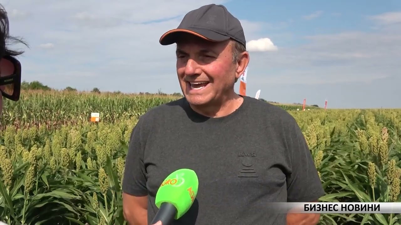 Бизнес новини: Предсеитбено и основно торене на пшеницата за максимални резултати