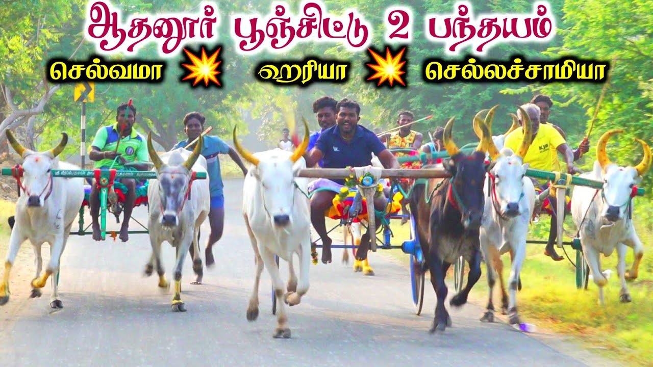 ஆதனூர் பூஞ்சிட்டு இரண்டாம் சுற்று பந்தயம்