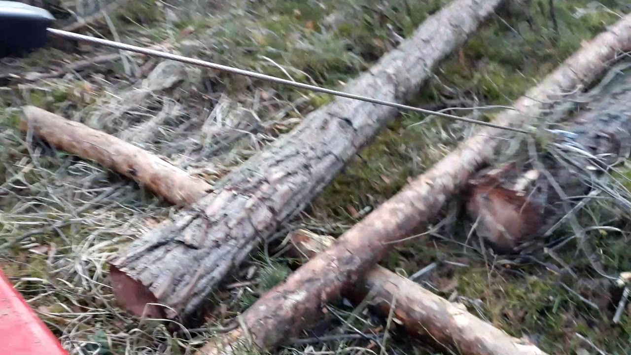 Nieplanowany zakup Wirax KR4