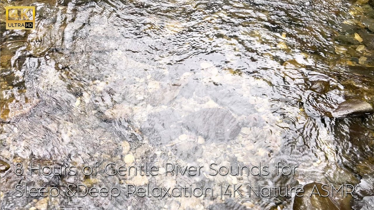 8Hrs of mountain stream sleep sounds,Subtle Whispering of Water in a Forest Creek