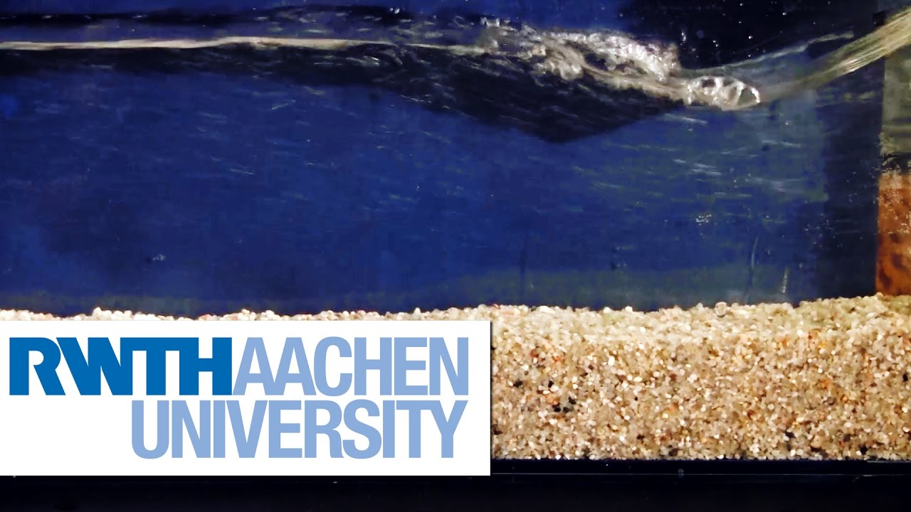 Sediment Transport in Rivers