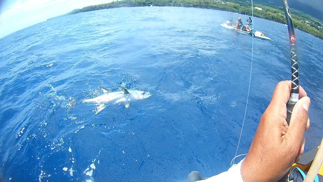 Pêche sportive en kayak de mer à l' Île de la RÉUNION Thon Jaune 13 Nov 2019