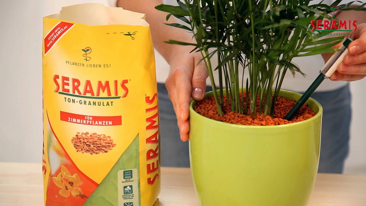 Umtopfanleitung f&uuml;r SERAMIS Ton-Granulat f&uuml;r Zimmerpflanzen