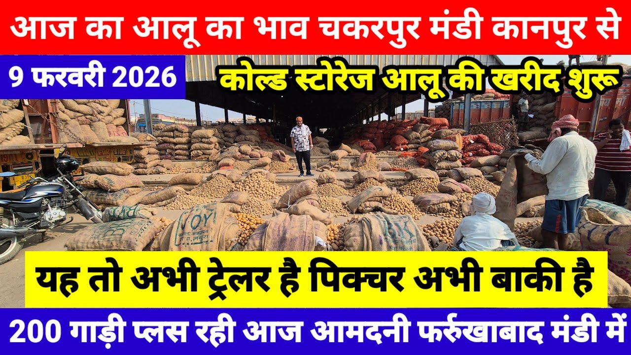 9 फरवरी 2026 // आज का आलू का भाव चकरपुर मंडी कानपुर से यह तो अभी ट्रेलर है पिक्चर अभी बाकी है