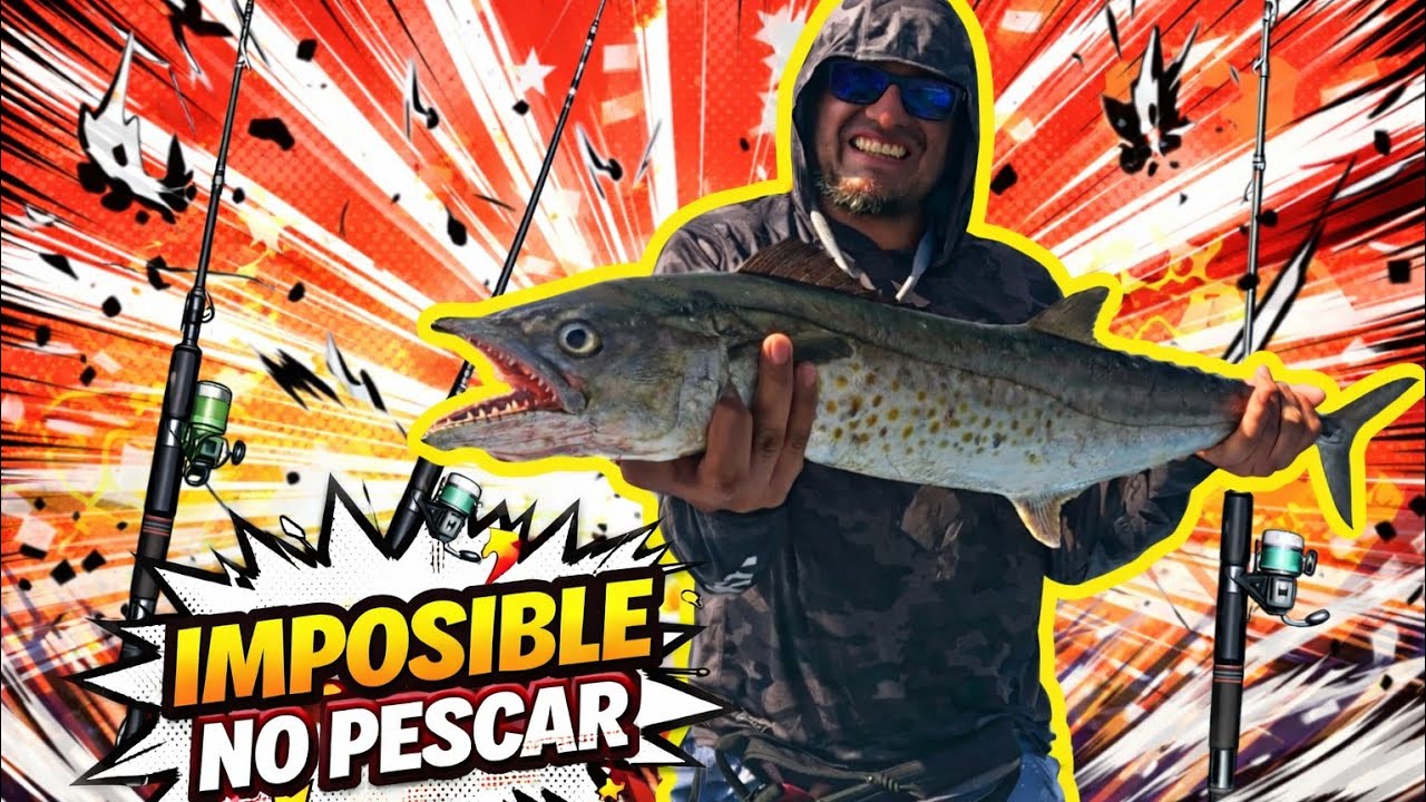 ¡ENORMES PECES! muerden mi JIG PESCA de INSHORE en bote en las costas MEXICANAS!