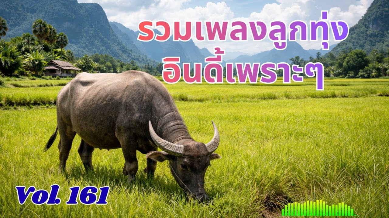 Ep 161 รวมลูกทุ่งอินดี้เพราะๆ เหงาๆ ซึ้งๆ อกหัก