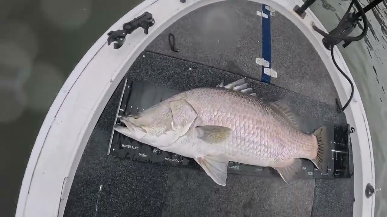Barramundi impoundment series - Fred Haigh Dam
