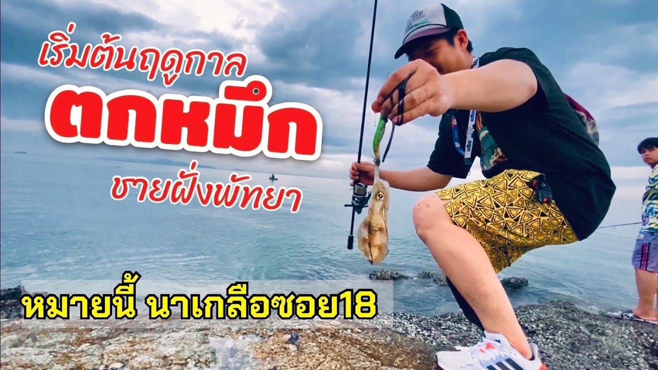 PSCH ep46  เช้านี้หมึกจับเหยื่อดี ฤดูหนาวกำลังมา หมึกก็เริ่มเข้าใกล้ชายฝั่ง
