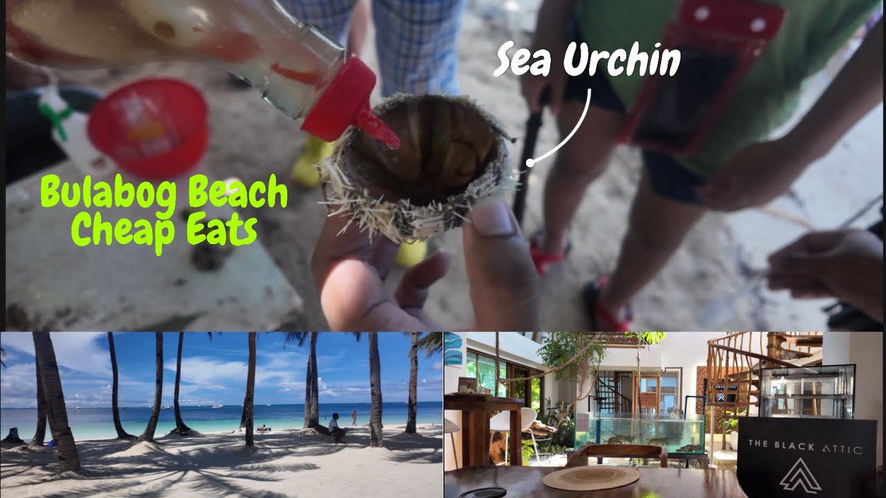Boracay Eating Sea Urchin at Bulabog Beach 🦑 | Boracay’s Best Budget Food Surprise at Black Attic