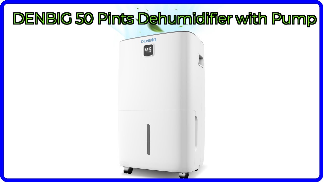 REVIEW (2026): DENBIG 50 Pints Dehumidifier with Pump. ESSENTIAL details.