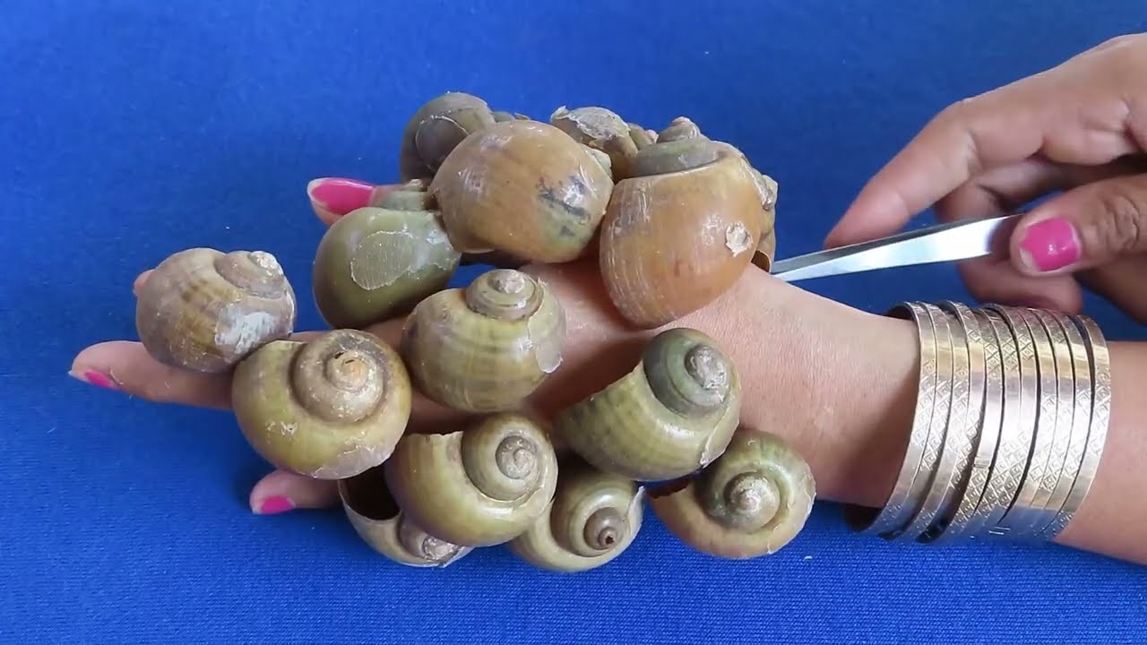 Very big ticks style removal from hand lady | Designed from snail shells