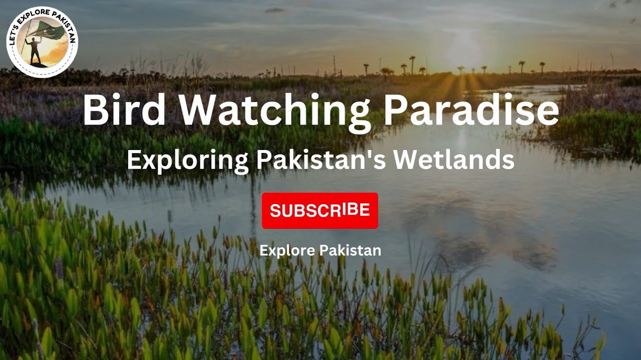 Bird Watching Paradise: Exploring Pakistan's Wetlands