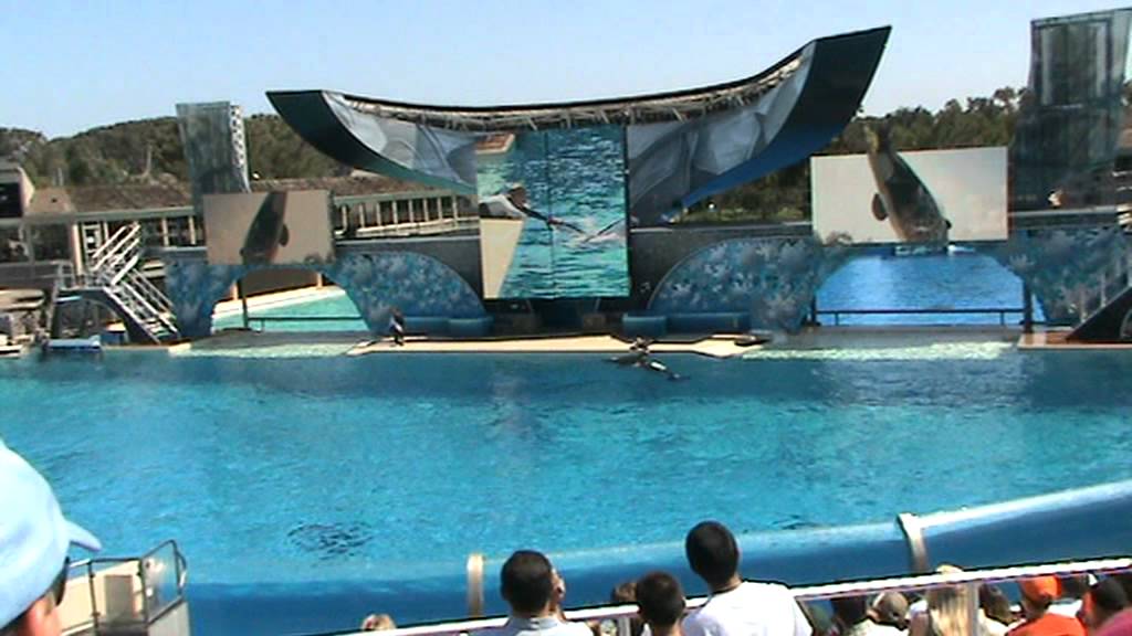 Shamu the Whale Show at sea world San Diego 2008