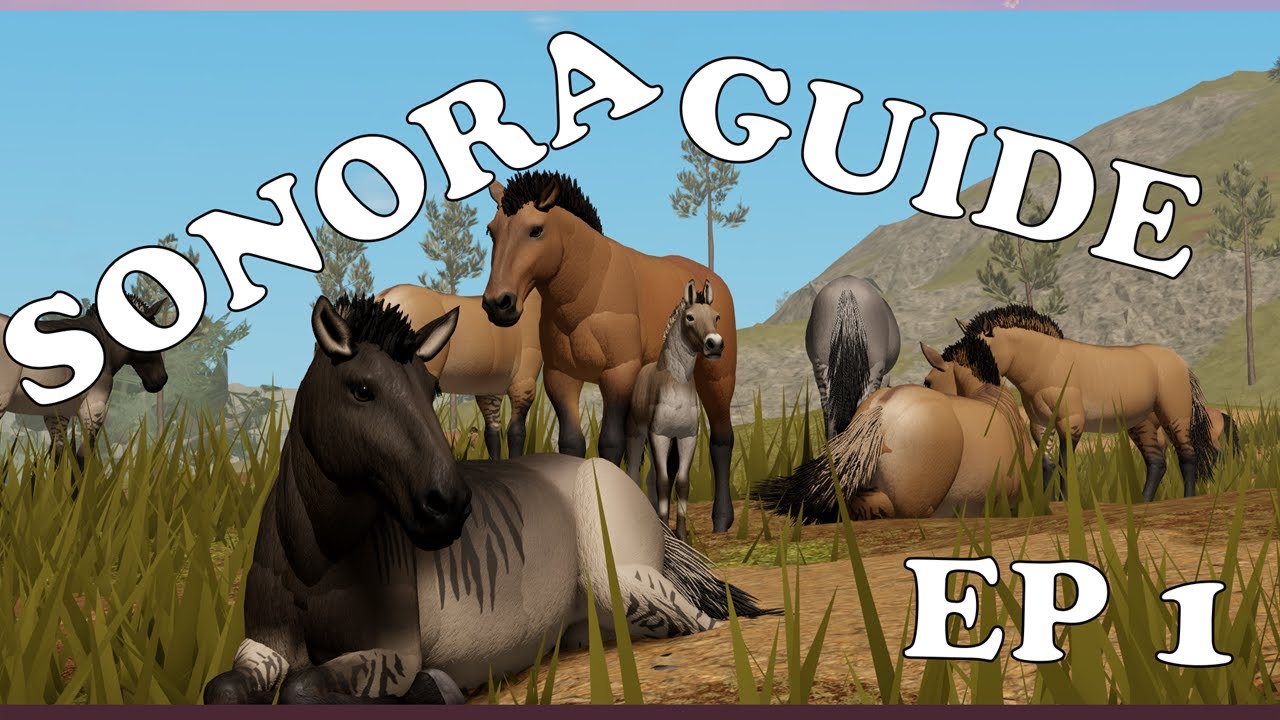 How to Play Sonora Testing on Roblox! EP 1// SakuraStallion