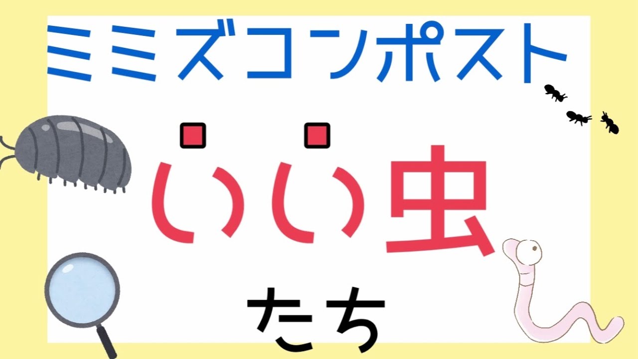 【益虫】ミミズコンポストの中に棲むいい虫たち。【リサイクル】