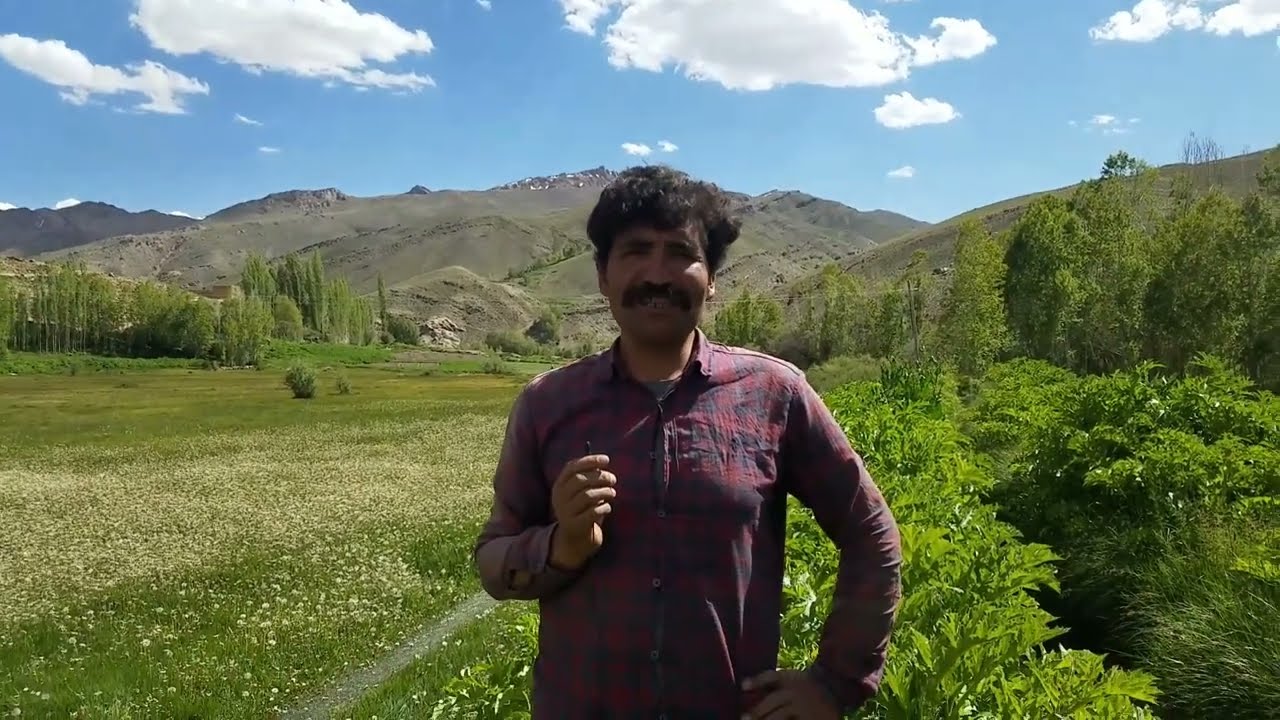 یک روز به داله مالستان رفتم خلی،از گیاهان رادیدم وخلی،جای خوب بود دوستان  لطفاحمایت کنید