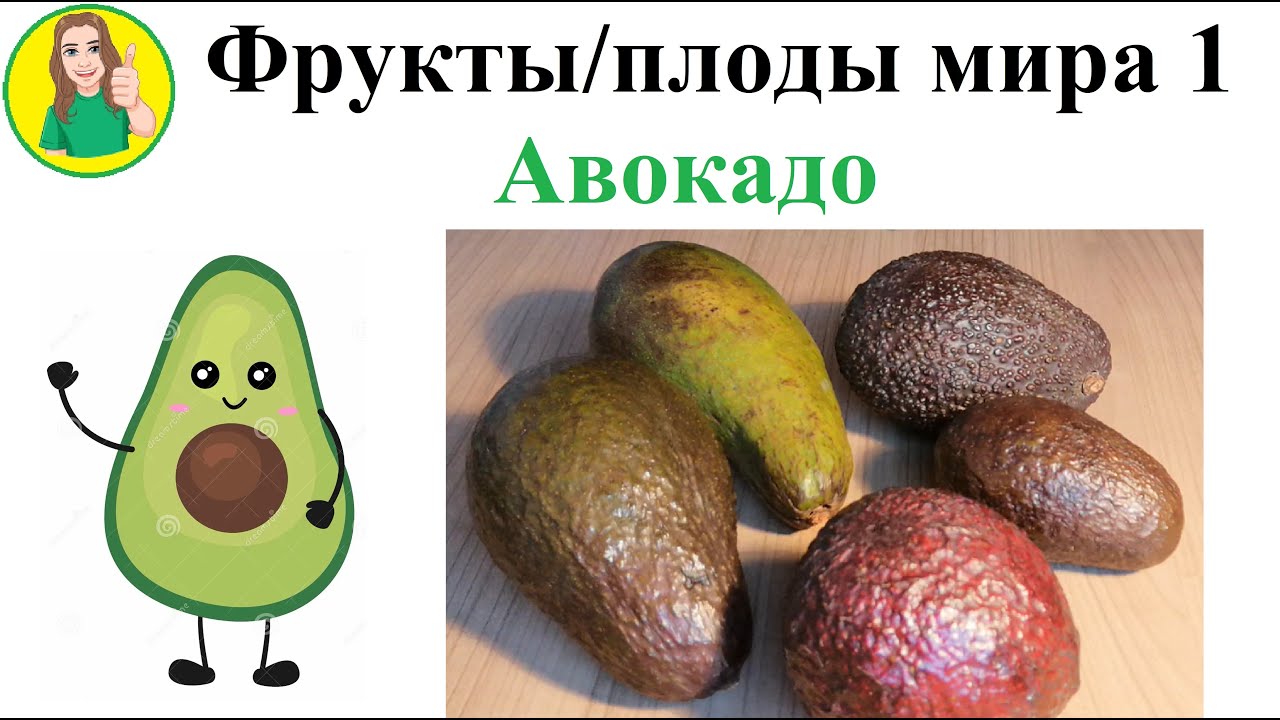 Фрукты   плоды мира 1 – Авокадо Сыроедение Фрукторианство