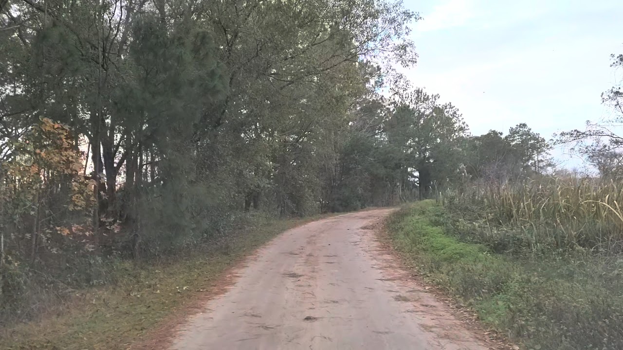 Altamaha WMA Darien Ga January 1st 2021 #Altamaha WMA