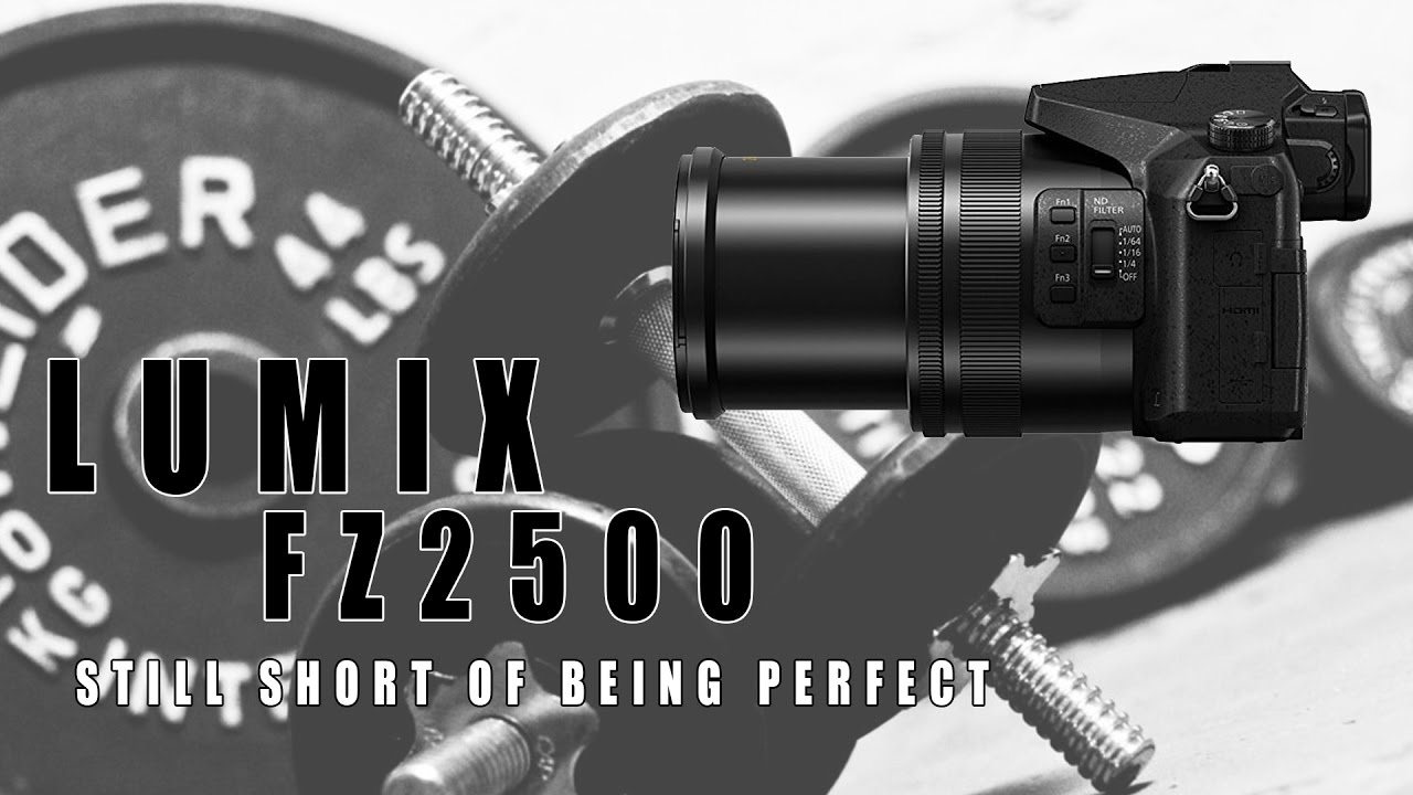 Panasonic DMC-FZ2500 Short of Being Perfect