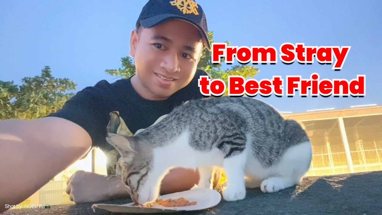 From Stray to Best Friend: My Heartwarming Journey with "Kaibigan" ❤️