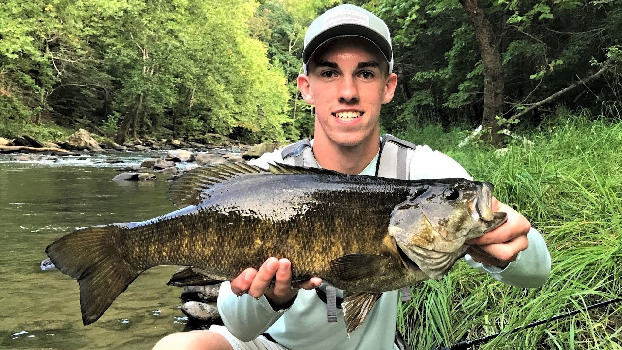 GIANT 21 inch TROPHY smallmouth + How to set up a Neko Rig (West Virginia Bass Fishing)