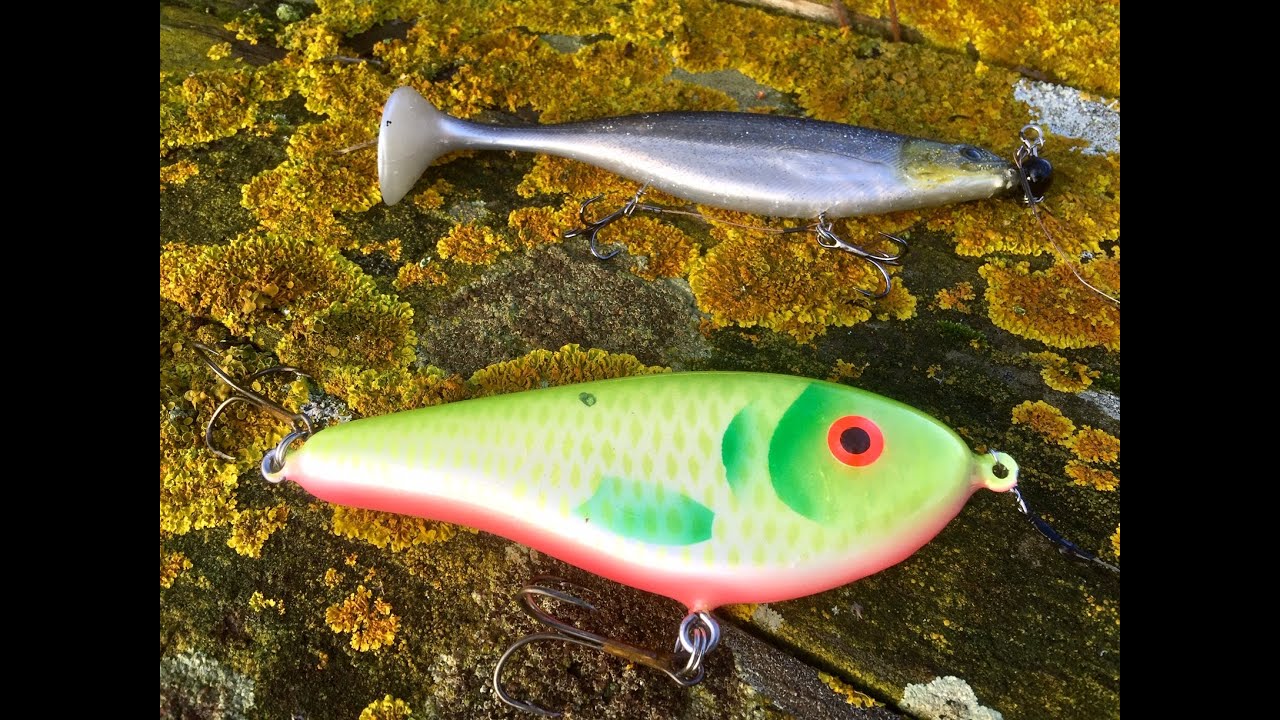 SHADTEEZ VS JERK  | 1 HOUR LURE FISHING CHALLENGE