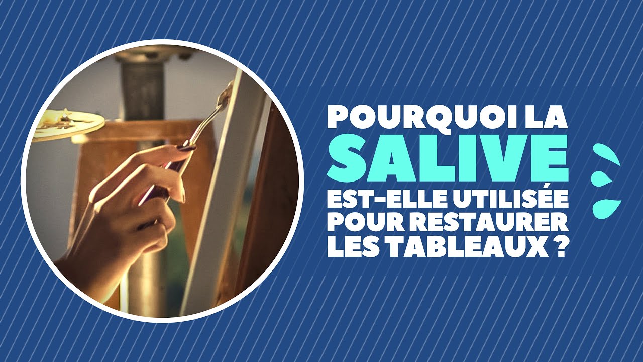Pourquoi la salive est-elle utilisée pour restaurer les tableaux ?