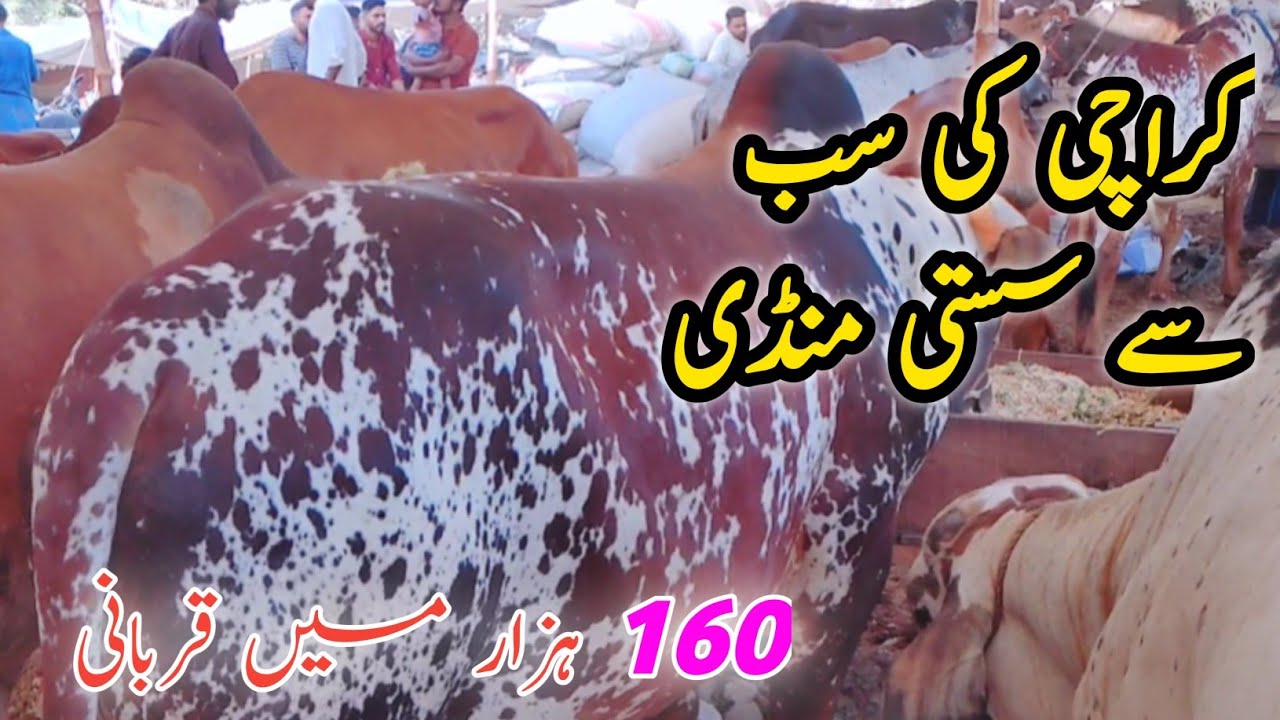 Orangi Town 4 Number Mandi Latest Rates Update 2025 