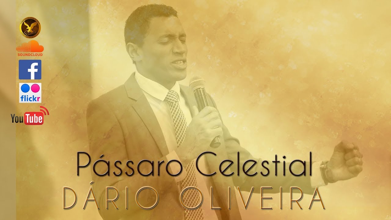 Pássaro Celestial - Dário  Oliveira
