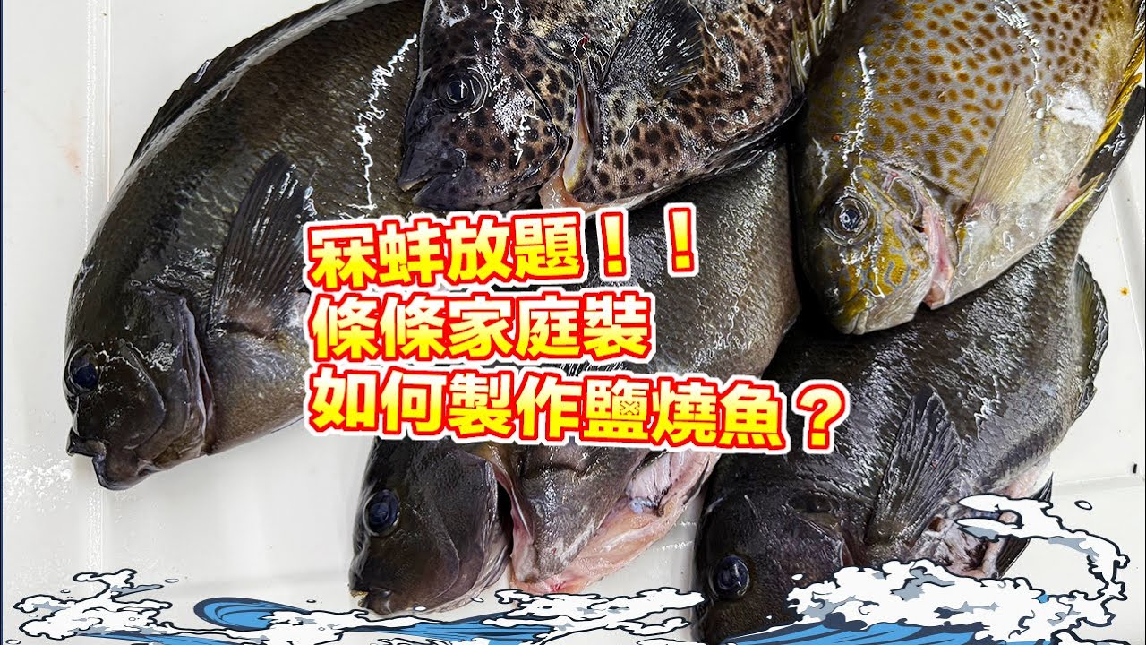 【漁人推介】香港水域 阿火帶大家出海潛水，天氣回暖，海魚回歸，冧蚌放題，回家製作鹽燒魚Catch and Cook Seafood Recipe Grilled Fish