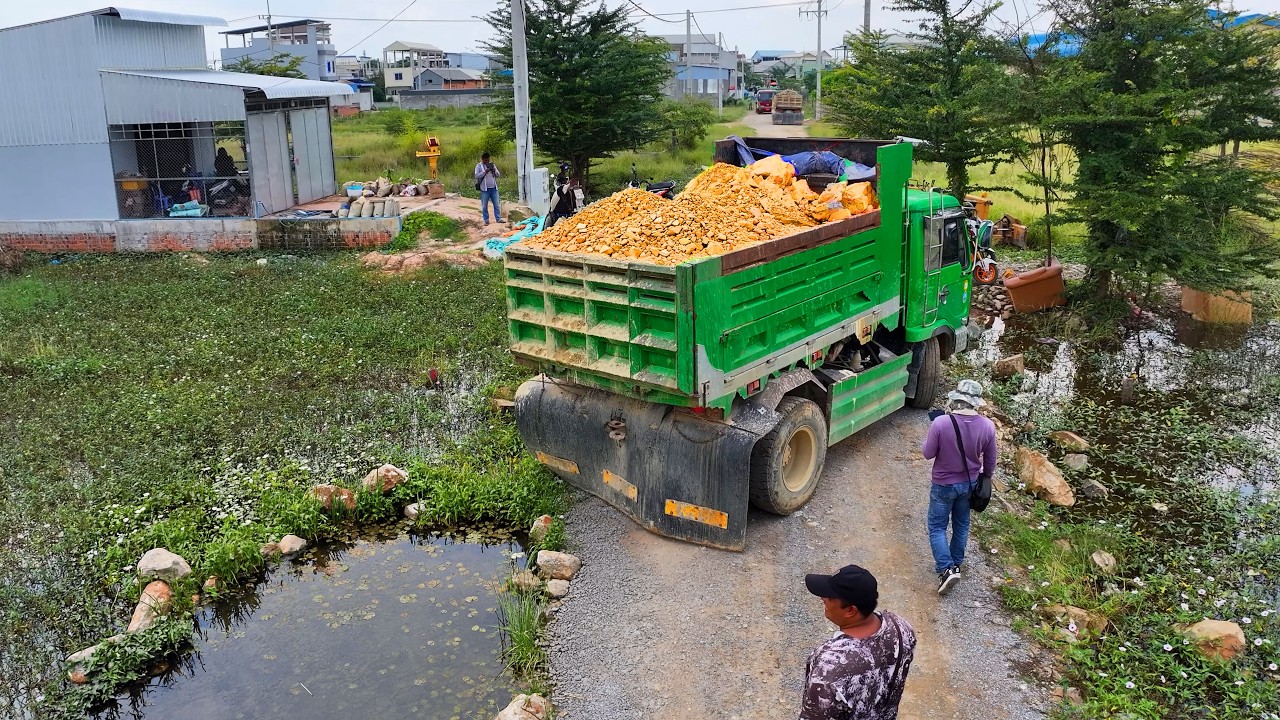 incredible full landfill building house project , truck transport soil , bulldozer push soil stone
