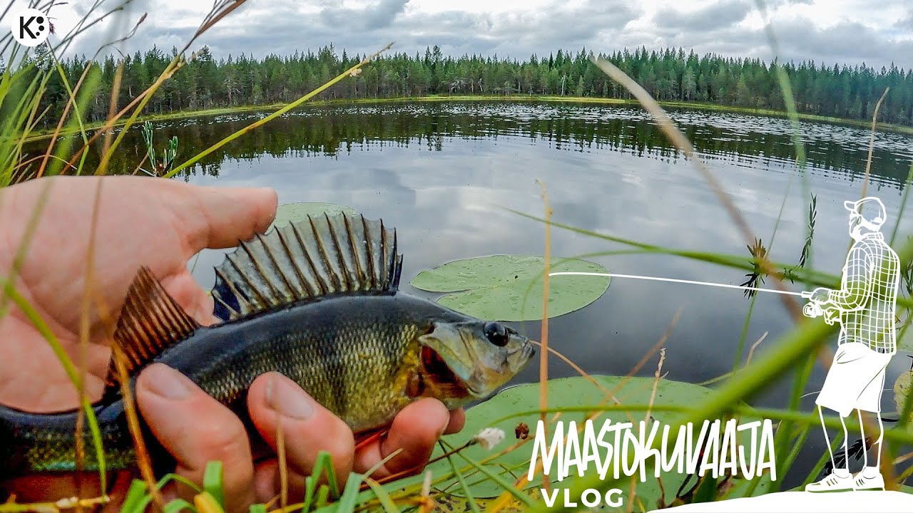 Kalaisa AHVENLAMPI keskellä korpea