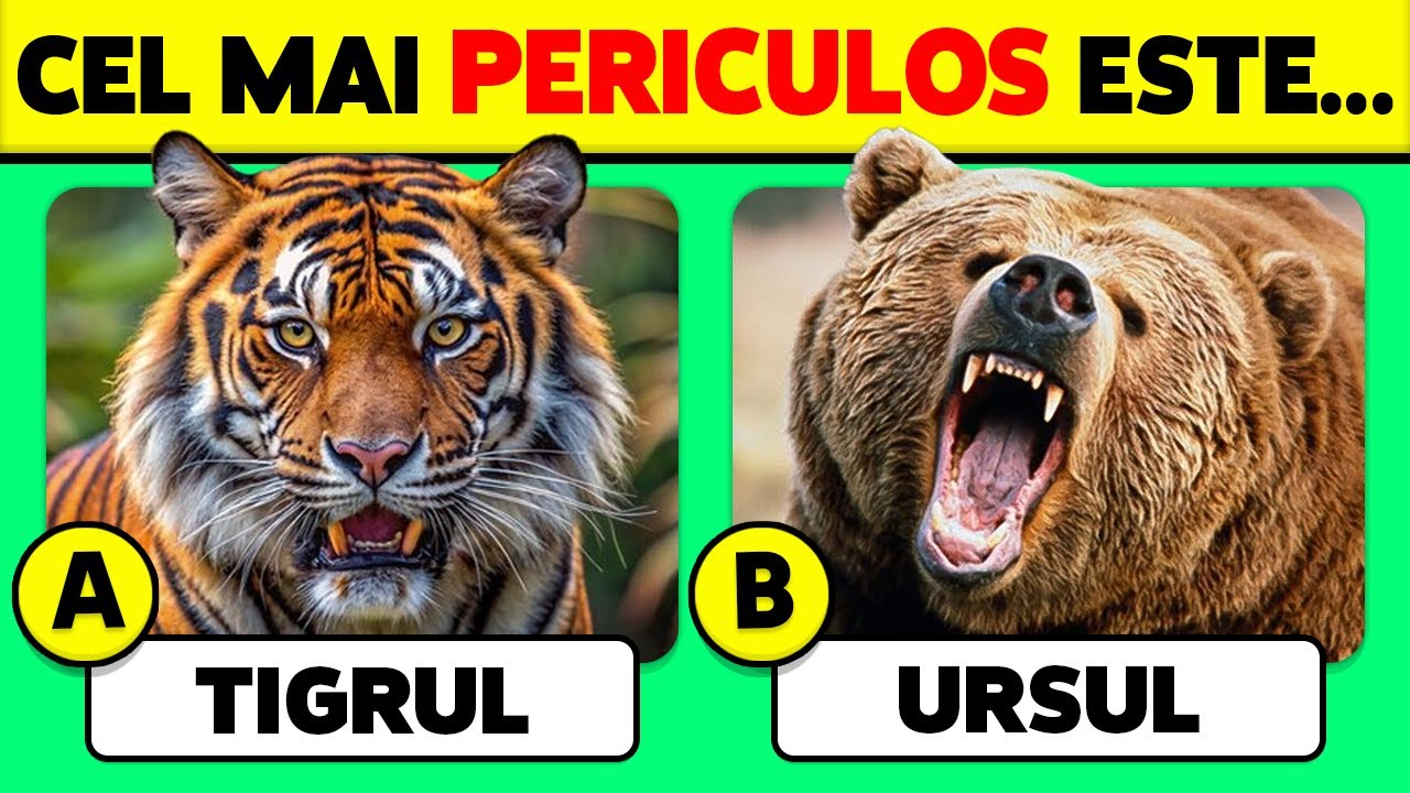 🧠 Cât De Bine Cunoști ANIMALELE? 🦁🐻🐳 45 De Întrebări Despre Animale
