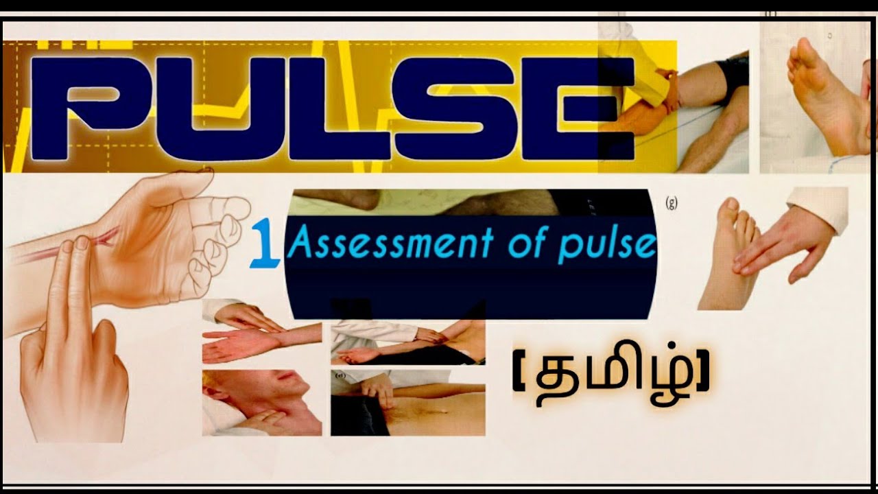 Assessment of pulse - தமிழ்  #Pulse 1 #Clinical #Assessment #tamil