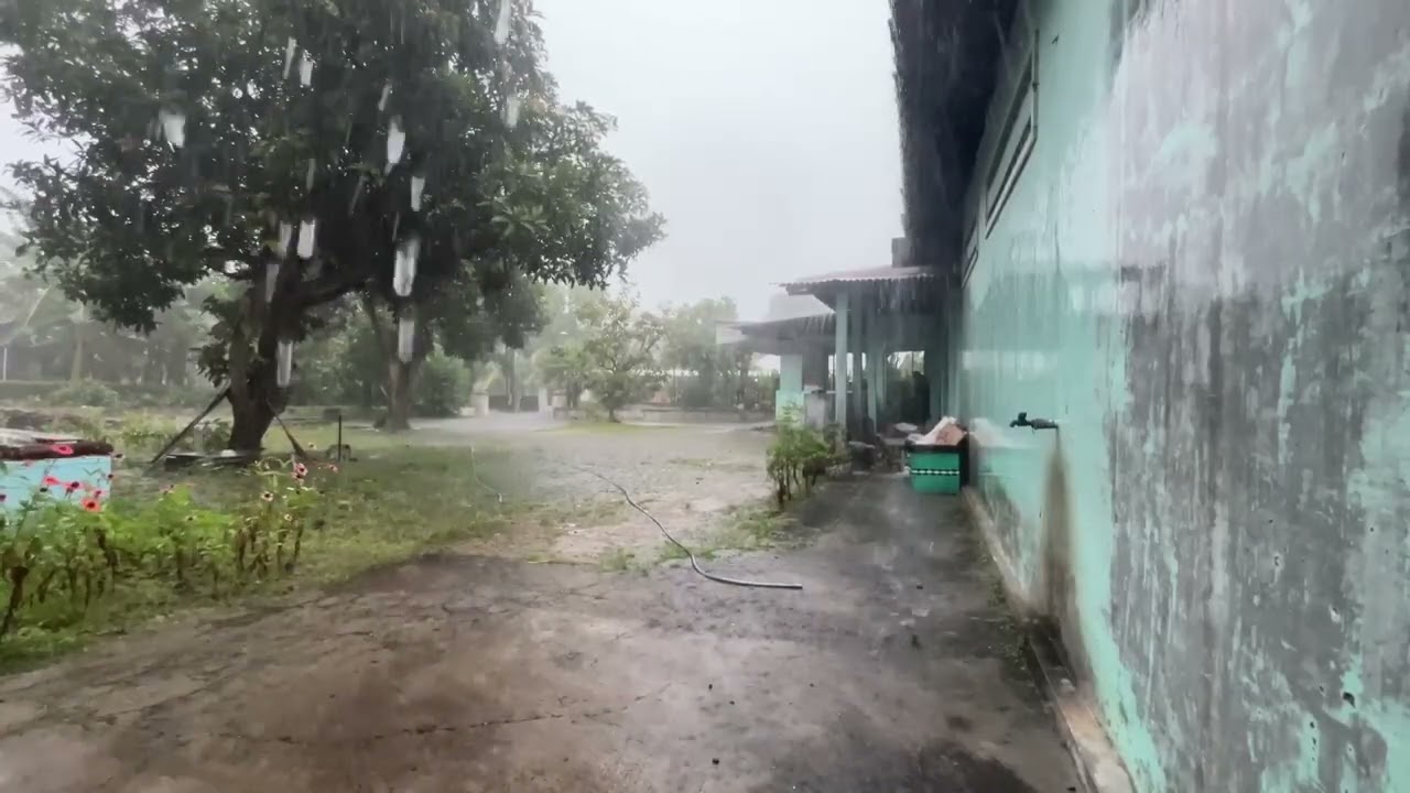 Soothing Rain Sounds: Sleep and Relaxation 