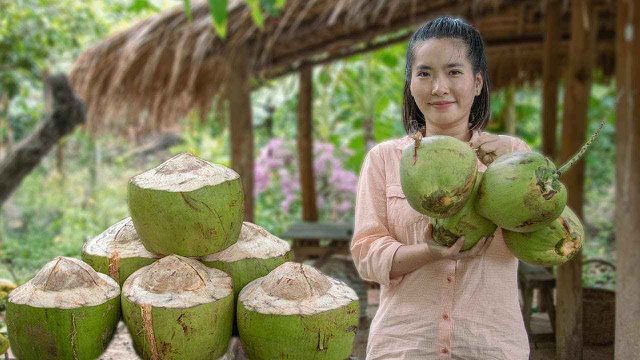 Collecting Natural Fragrant Coconut | Cooking Chicken With Fragrant Coconut & Fragrant Coconut Jelly