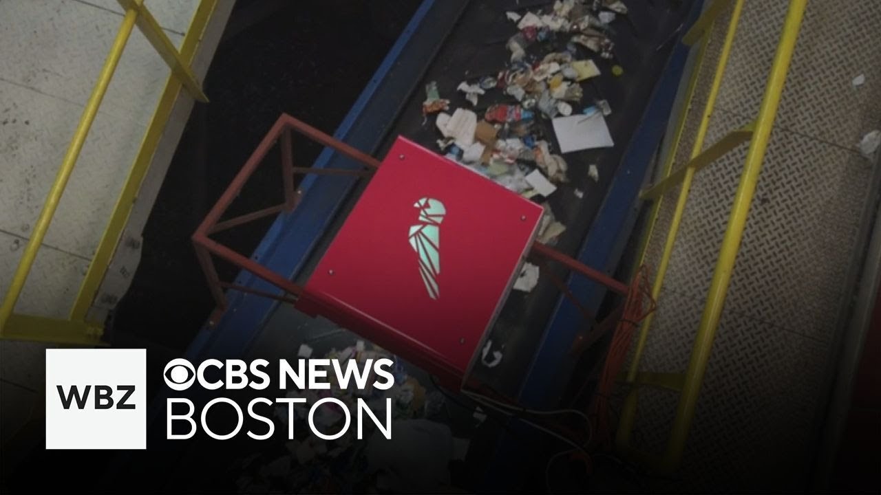 How one recycling plant is using AI to help make sorting process easier, faster