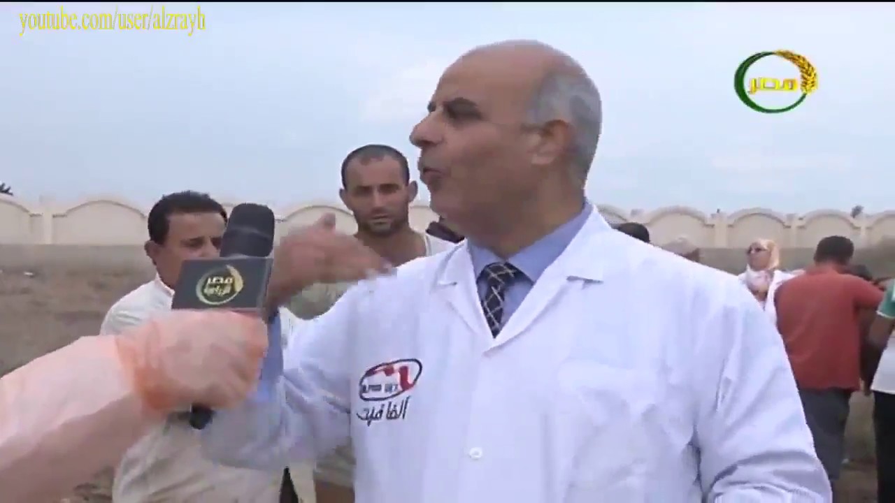 فكرة عمل جهاز السونار لتشخيص الامراض عند الابقار والمواشى