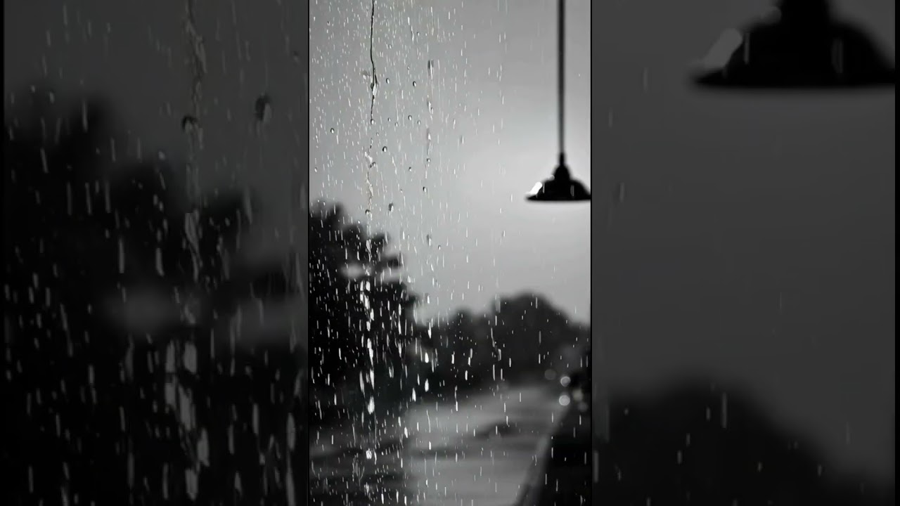 A chuva - soundtrack 