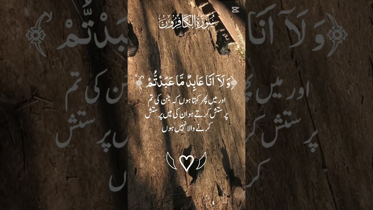 surah Al kafirun powerful protection recitation#trendingshort#unfrez#tilawat#quran#quranrecitation💯🤲