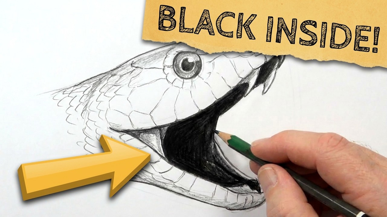 How to Draw a Black Mamba (beginner - intermediate)