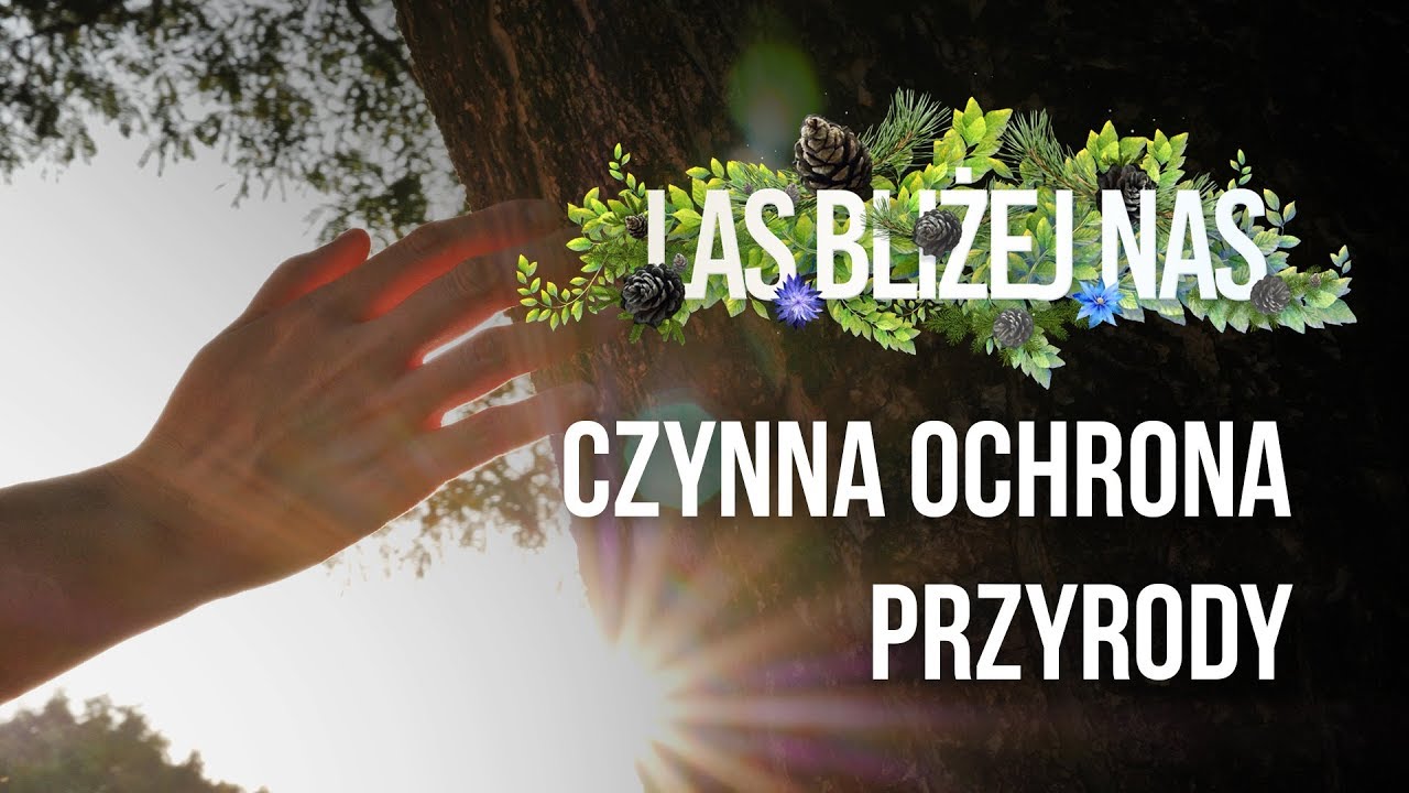 Las Bliżej Nas - Czynna ochrona przyrody