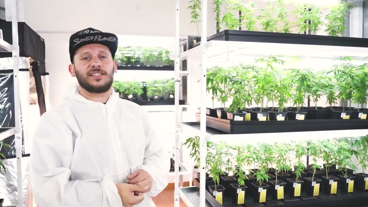 &iquest;Qu&eacute; compone nuestra sala de cultivo?