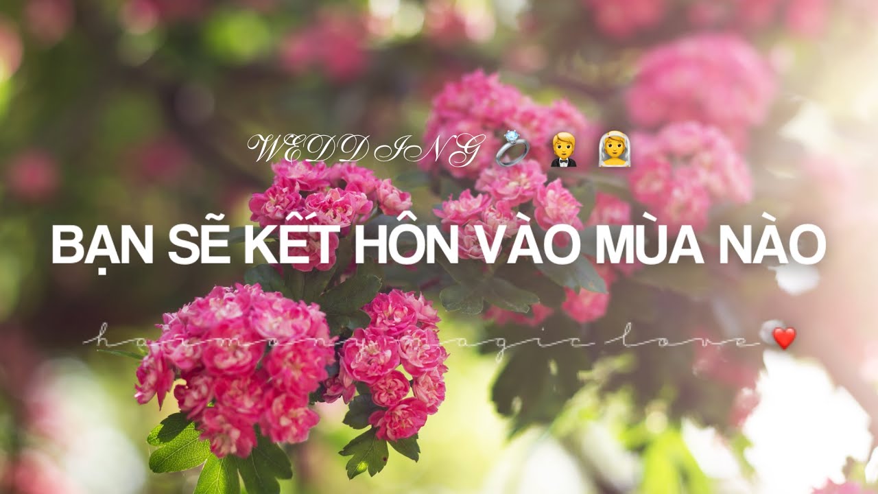 [BIGLOVE] ❤️BẠN SẼ KẾT HÔN MÙA NÀO TRONG NĂM❤️HARMONY(TIMELESS)